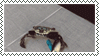 Crab
