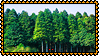 Woods